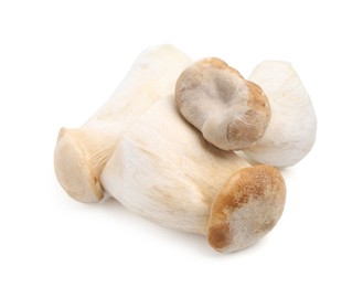 Photo of Fresh raw eryngii mushrooms isolated on white