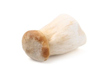 Photo of One raw eryngii mushroom isolated on white