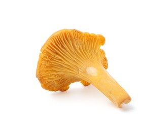 Photo of Fresh raw chanterelle mushroom isolated on white