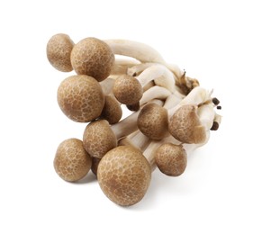 Photo of Cluster of fresh brown shimeji mushrooms isolated on white