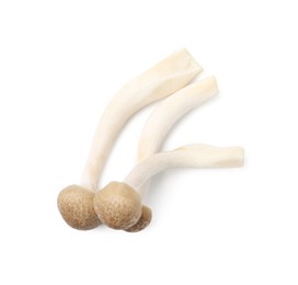 Photo of Fresh brown shimeji mushrooms isolated on white, top view