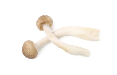 Photo of Fresh brown shimeji mushrooms isolated on white, top view