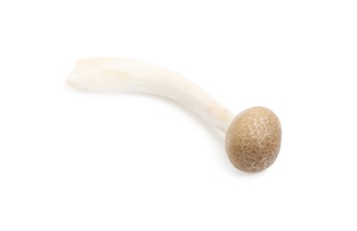 Photo of Fresh brown shimeji mushrooms isolated on white