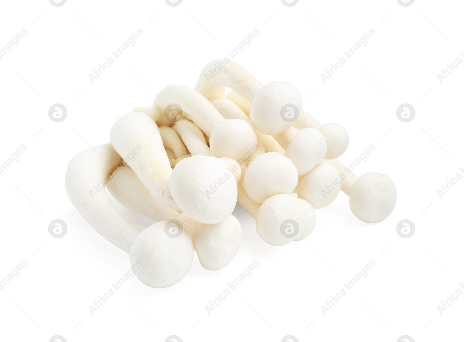 Cluster of fresh shimeji mushrooms isolated on white Photo of Cluster of fresh shimeji mushrooms isolated on white