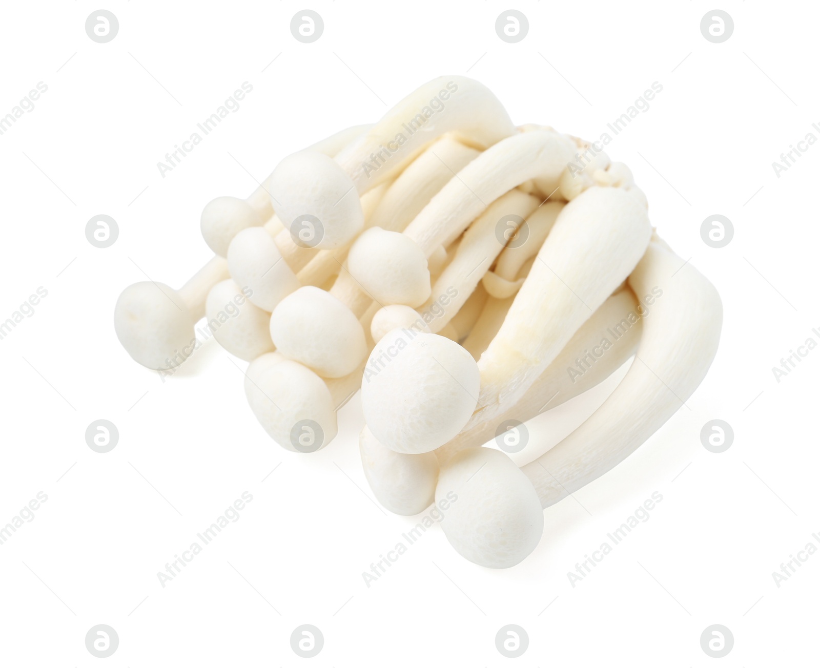 Cluster of fresh shimeji mushrooms isolated on white Photo of Cluster of fresh shimeji mushrooms isolated on white
