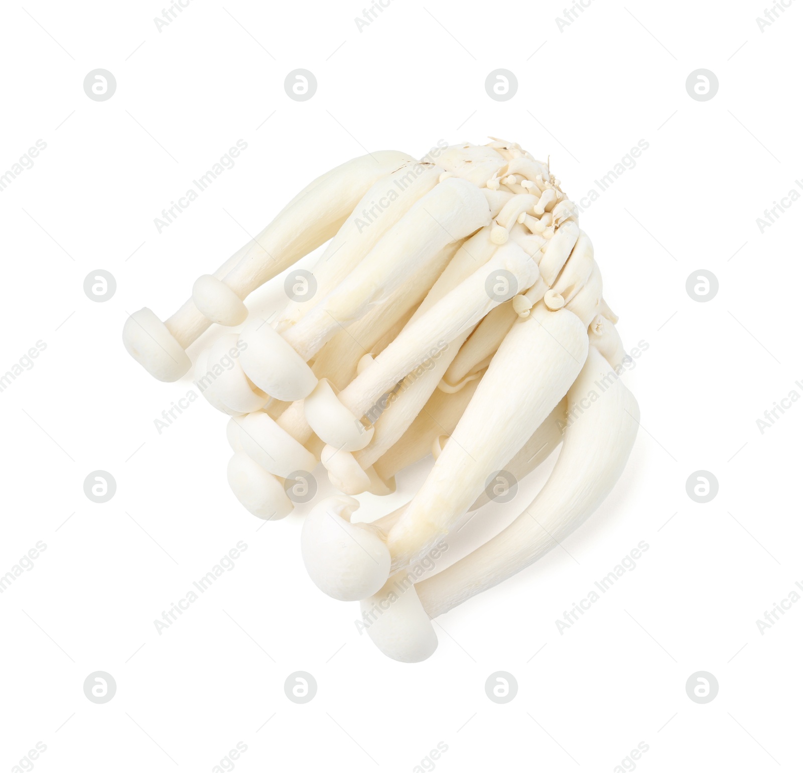 Cluster of fresh shimeji mushrooms isolated on white, top view Photo of Cluster of fresh shimeji mushrooms isolated on white, top view