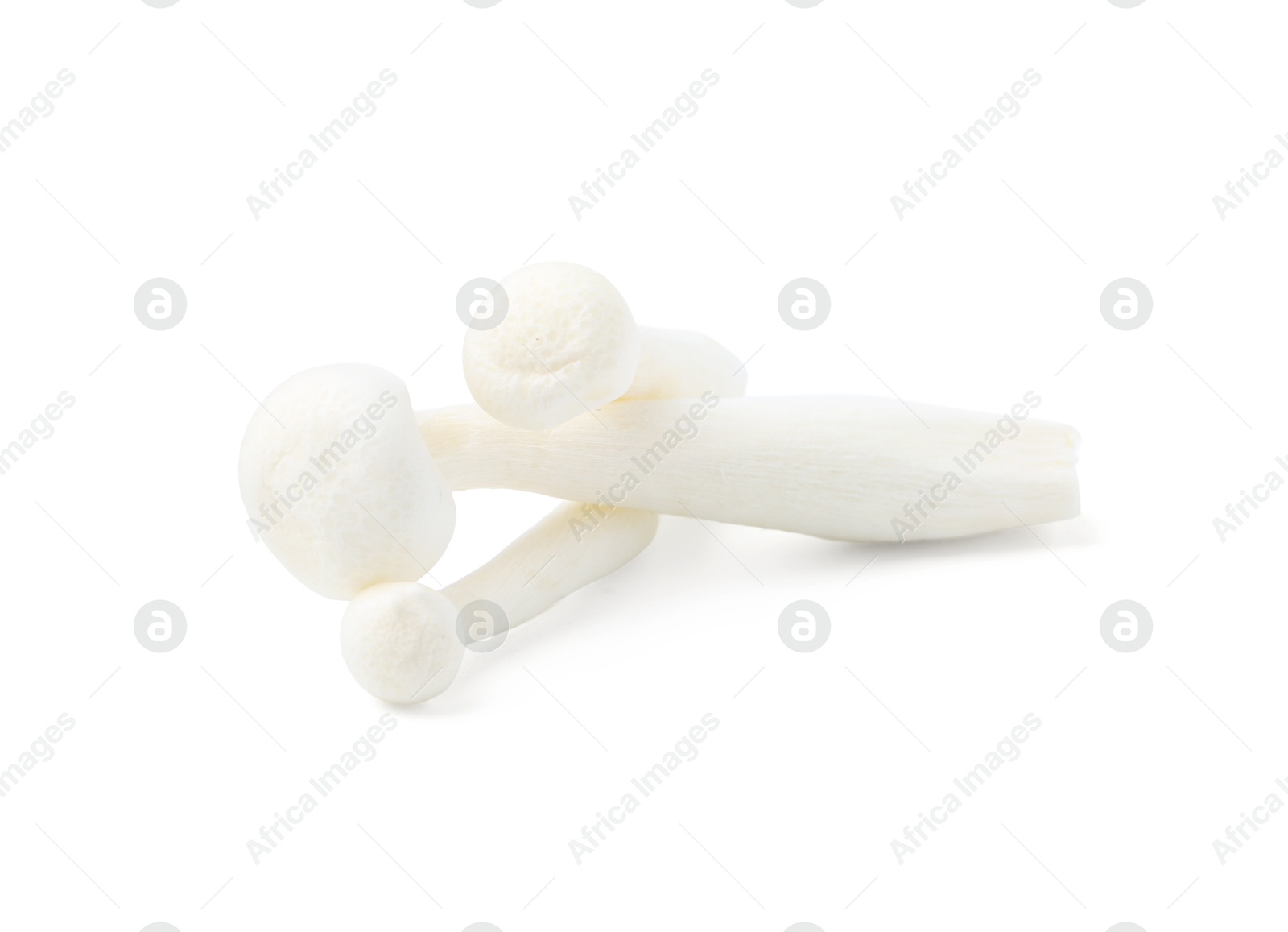 Fresh raw shimeji mushrooms isolated on white Photo of Fresh raw shimeji mushrooms isolated on white