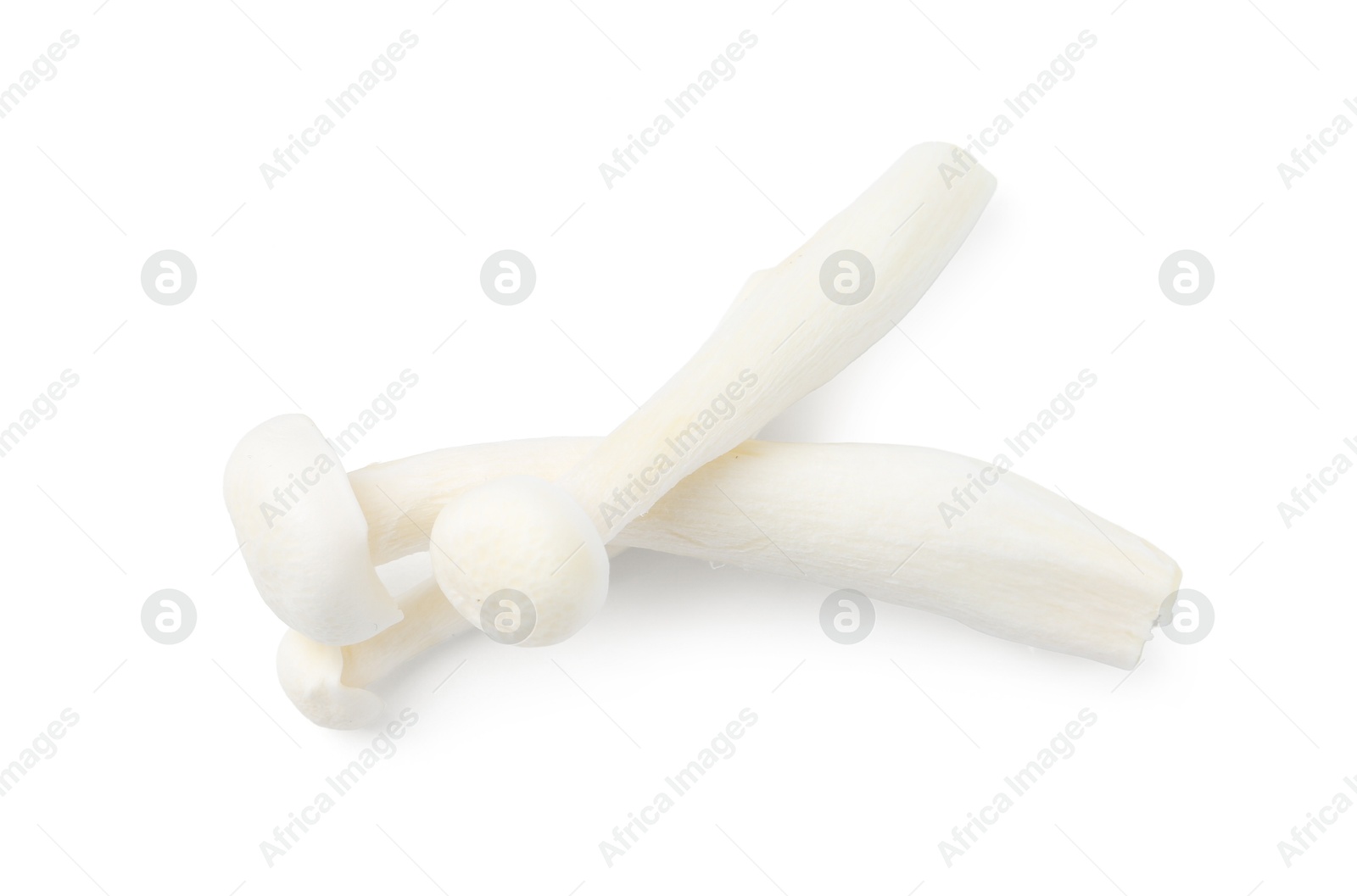 Fresh shimeji mushrooms isolated on white, top view Photo of Fresh shimeji mushrooms isolated on white, top view