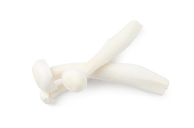 Photo of Fresh shimeji mushrooms isolated on white, top view
