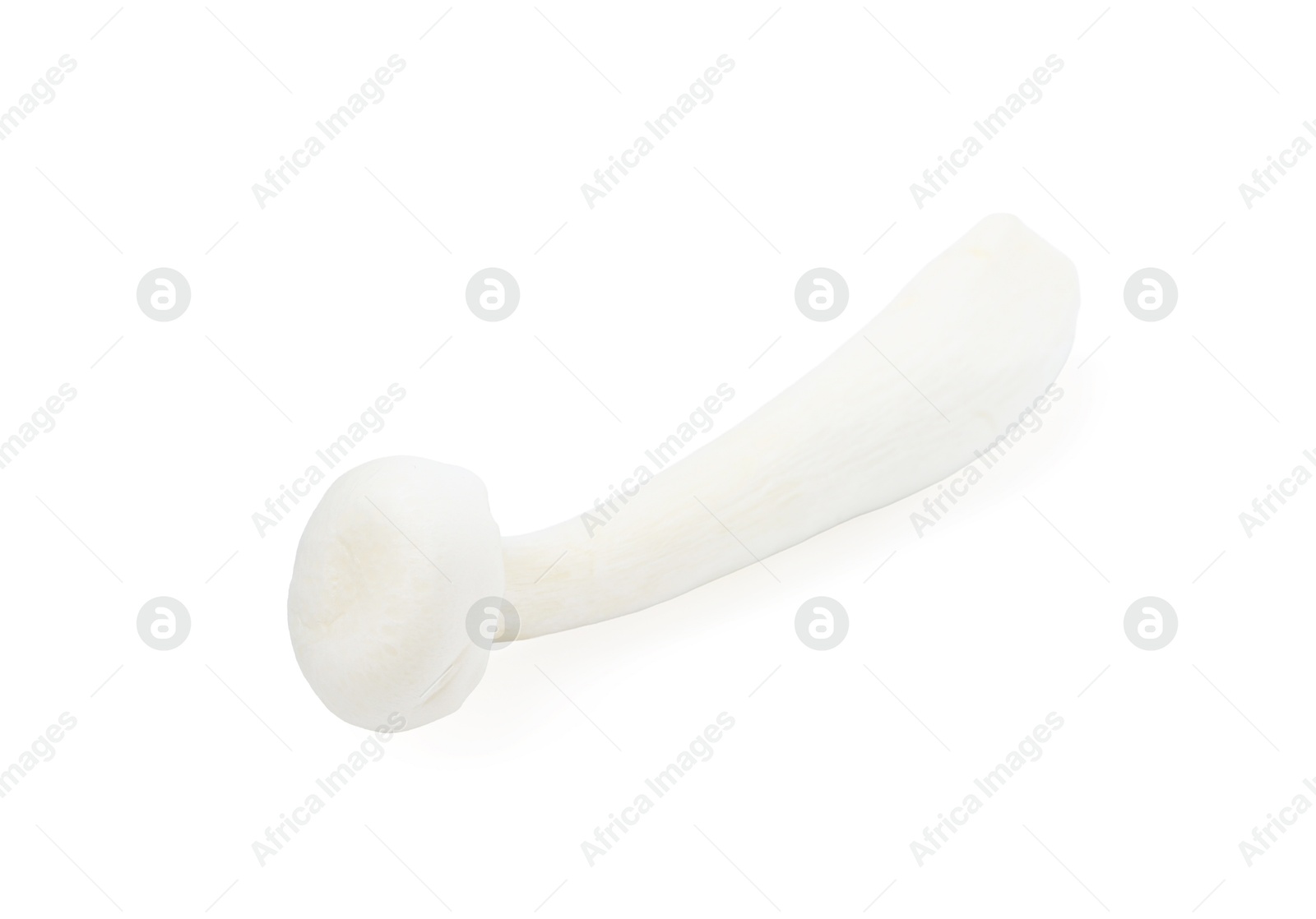 Fresh raw shimeji mushroom isolated on white, top view Photo of Fresh raw shimeji mushroom isolated on white, top view