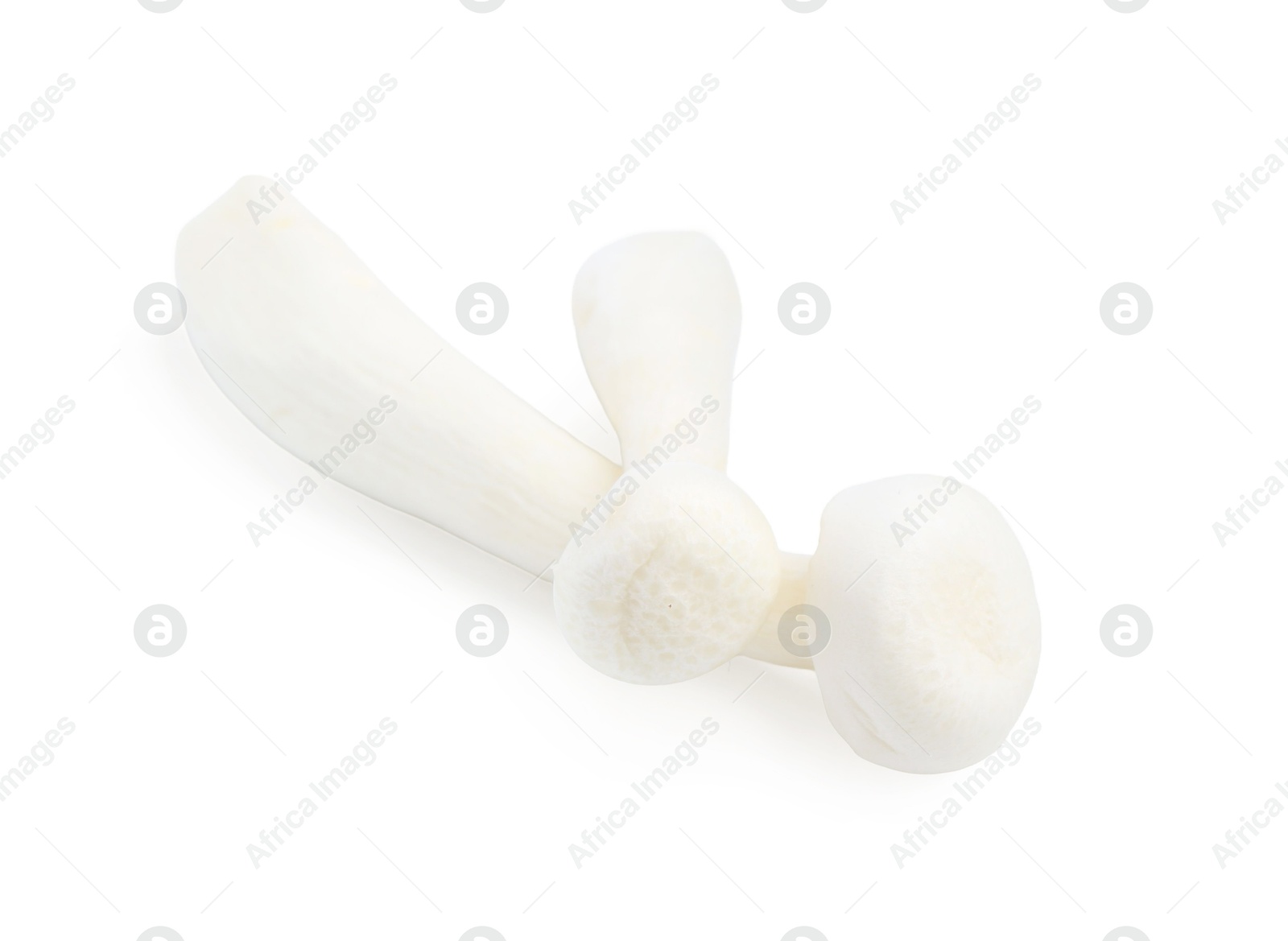 Photo of Fresh raw shimeji mushrooms isolated on white
