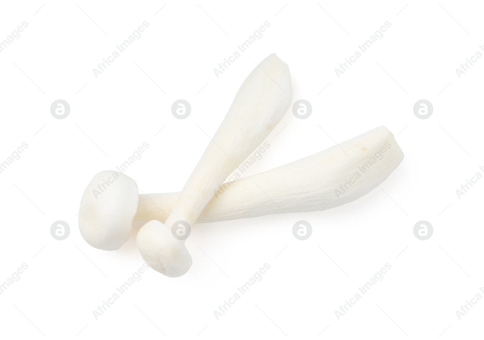 Fresh shimeji mushrooms isolated on white, top view Photo of Fresh shimeji mushrooms isolated on white, top view