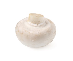 Photo of One fresh raw champignon isolated on white