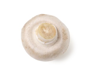 Photo of One fresh raw champignon isolated on white, top view
