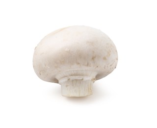 Photo of One fresh raw champignon isolated on white