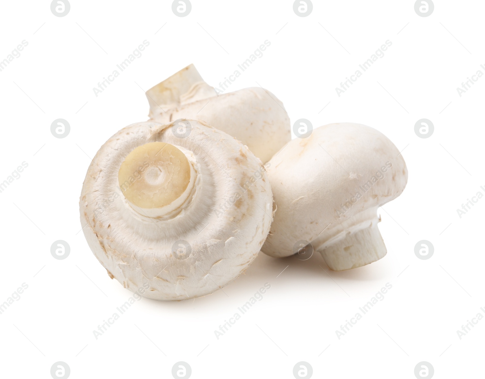 Fresh raw champignon mushrooms isolated on white Photo of Fresh raw champignon mushrooms isolated on white