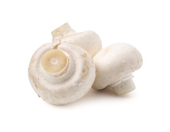 Photo of Fresh raw champignon mushrooms isolated on white