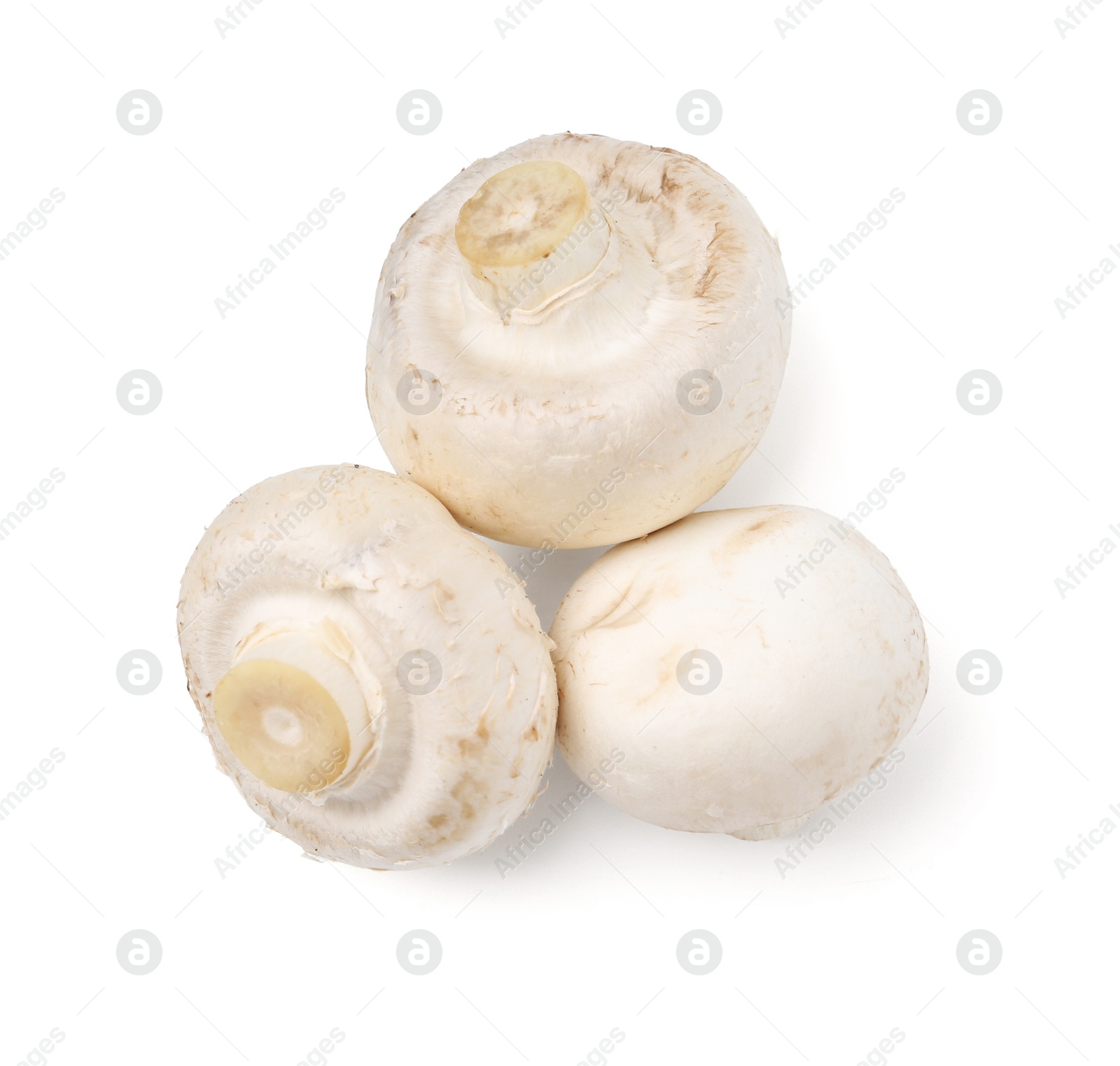 Fresh raw champignon mushrooms isolated on white, top view Photo of Fresh raw champignon mushrooms isolated on white, top view