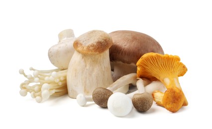 Photo of Collection of different raw mushrooms isolated on white