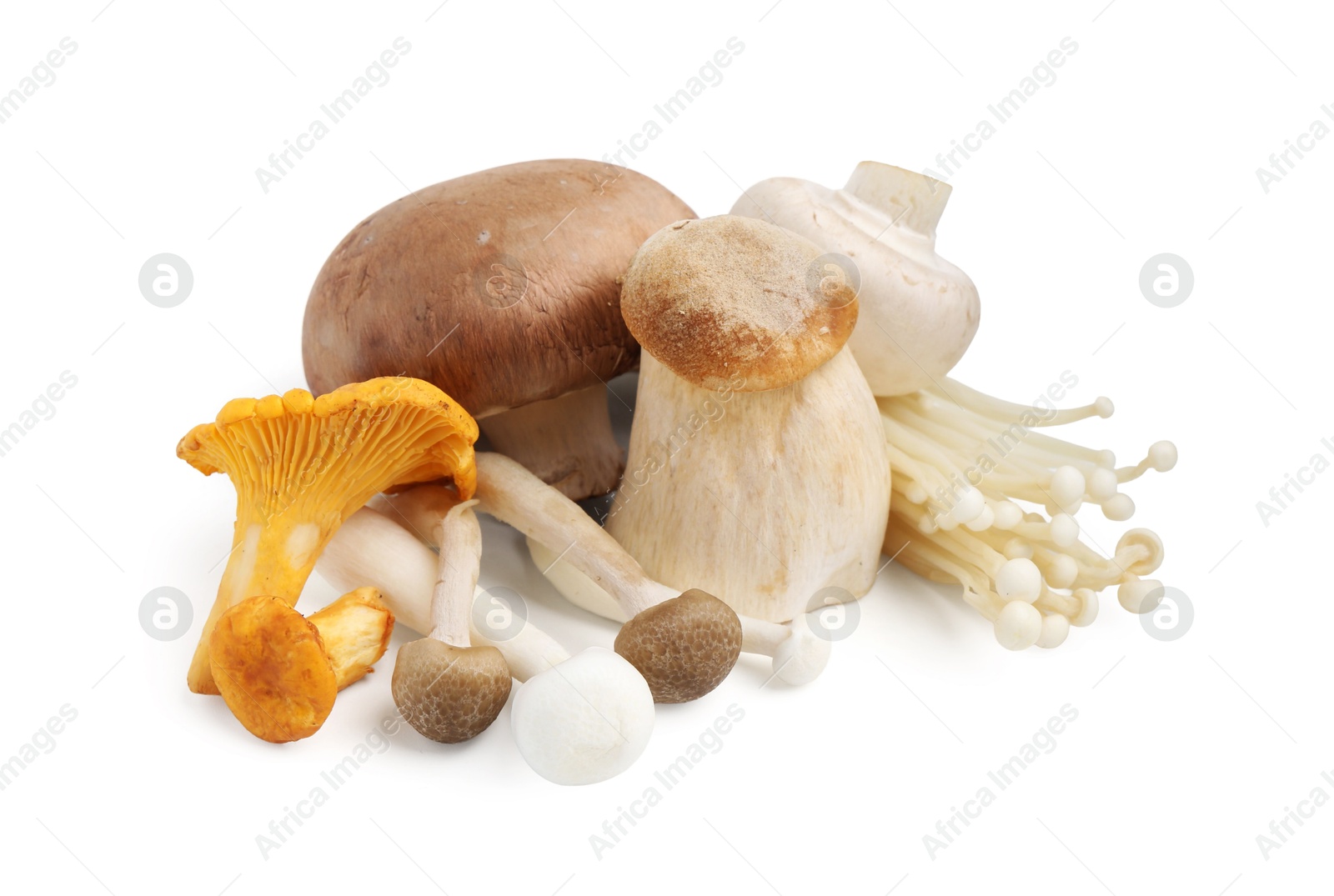 Collection of different raw mushrooms isolated on white Photo of Collection of different raw mushrooms isolated on white