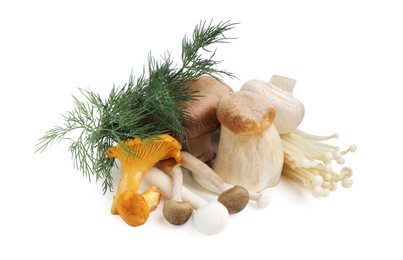 Photo of Different raw mushrooms and dill isolated on white