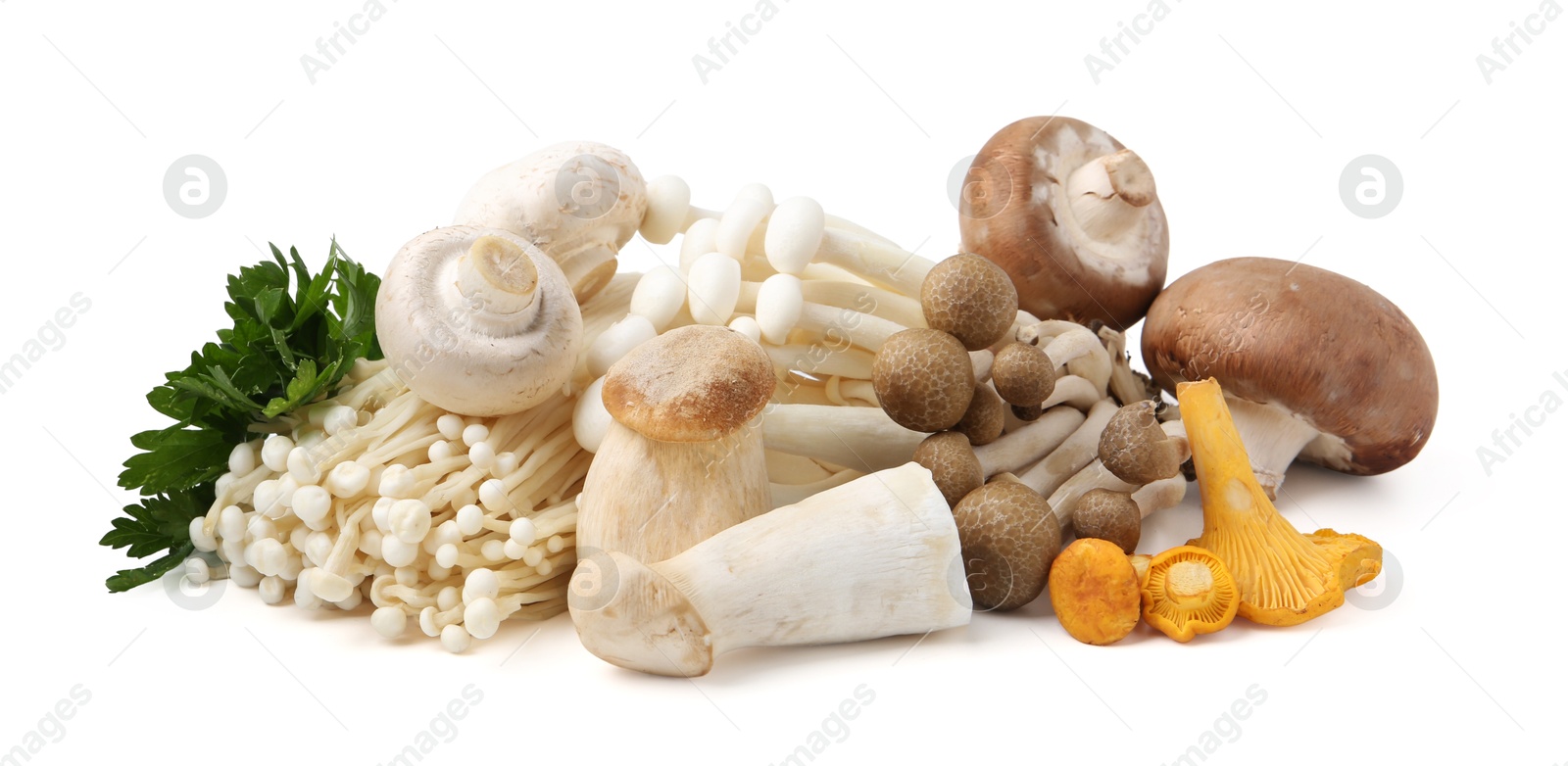 Different raw mushrooms and parsley isolated on white Photo of Different raw mushrooms and parsley isolated on white