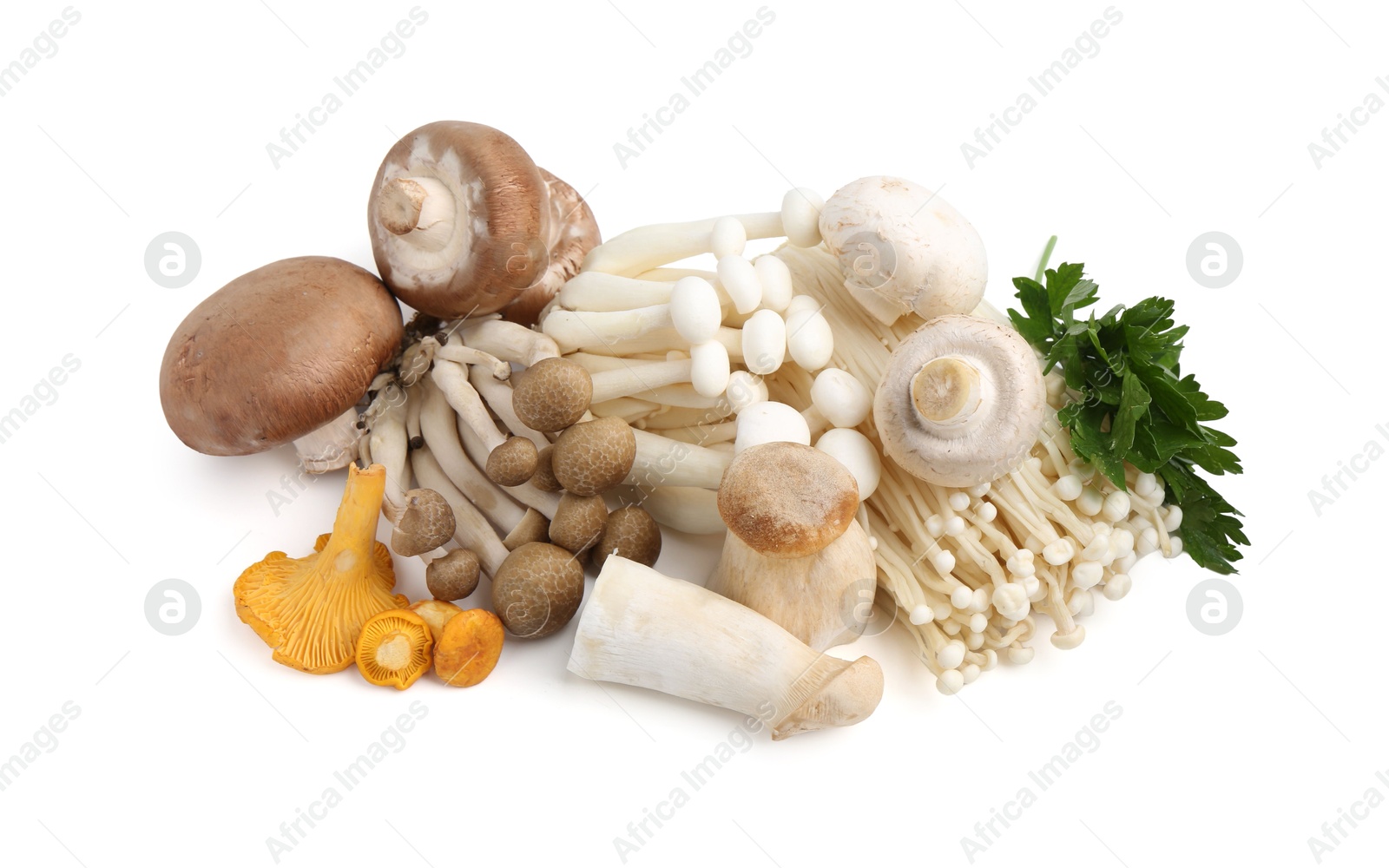 Different raw mushrooms and parsley isolated on white Photo of Different raw mushrooms and parsley isolated on white
