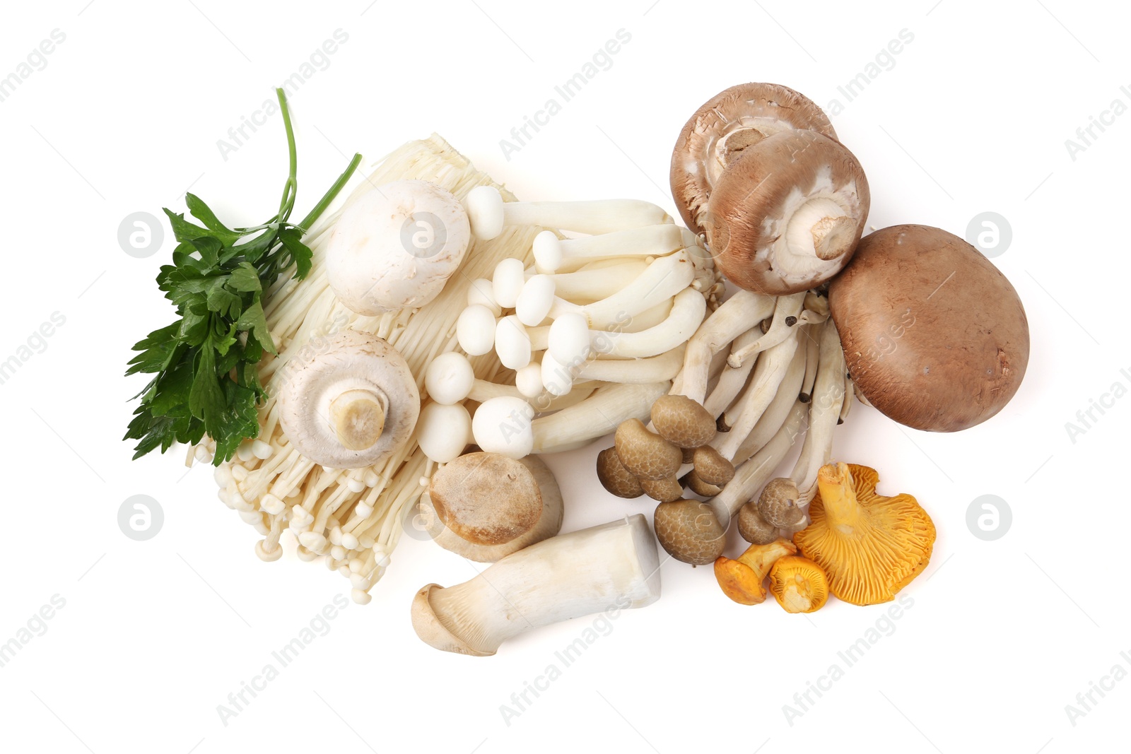 Different raw mushrooms and parsley isolated on white, top view Photo of Different raw mushrooms and parsley isolated on white, top view