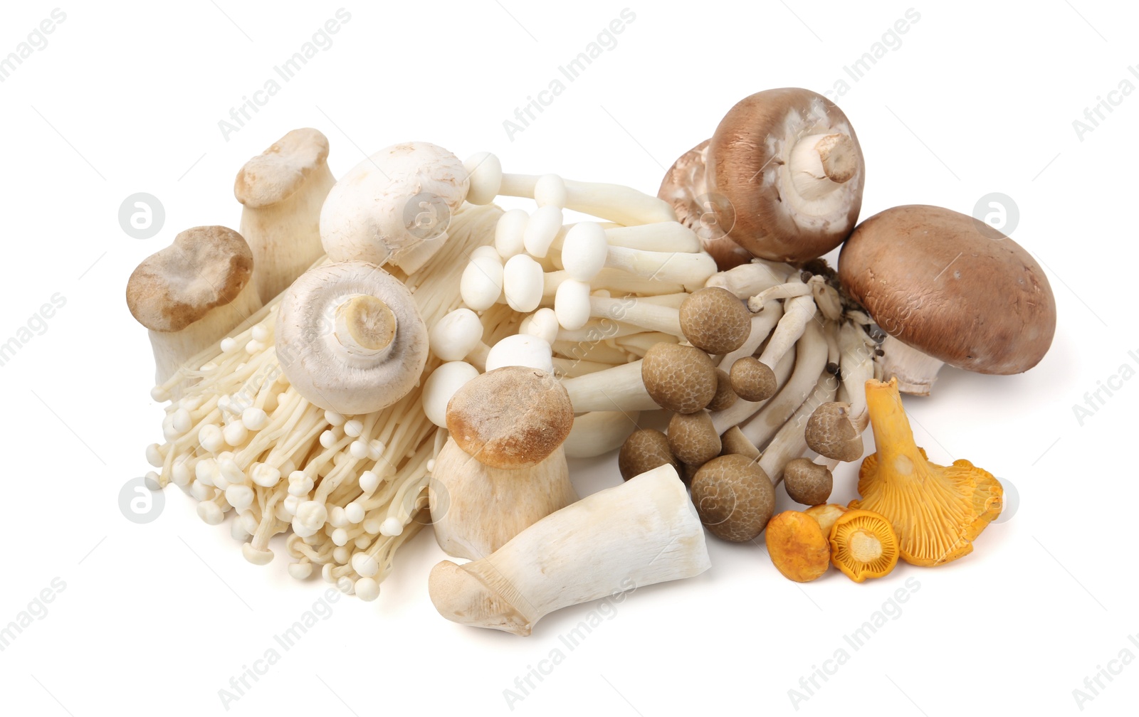 Pile of different raw mushrooms isolated on white Photo of Pile of different raw mushrooms isolated on white
