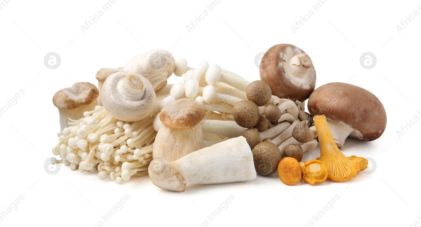 Pile of different raw mushrooms isolated on white Photo of Pile of different raw mushrooms isolated on white
