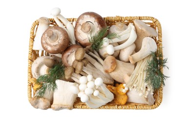 Photo of Different raw mushrooms and dill in wicker basket isolated on white, top view