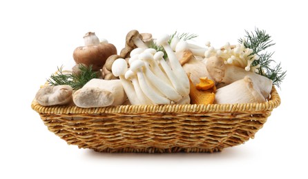 Photo of Different raw mushrooms and dill in wicker basket isolated on white