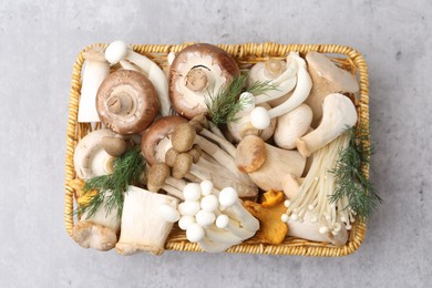 Photo of Different raw mushrooms and dill in wicker basket on grey textured table, top view