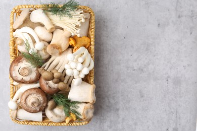 Photo of Different raw mushrooms and dill in wicker basket on grey textured table, top view. Space for text