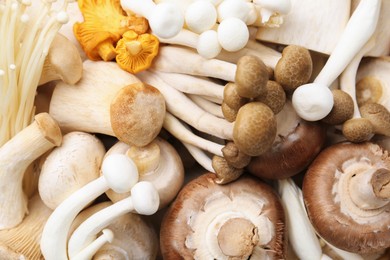 Photo of Different raw mushrooms as background, top view