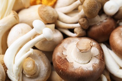 Photo of Different raw mushrooms as background, closeup view