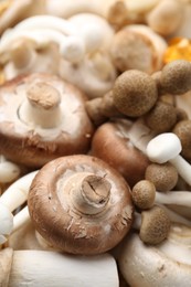 Photo of Different raw mushrooms as background, closeup view