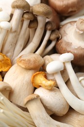 Photo of Different raw mushrooms as background, above view