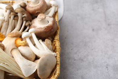 Photo of Different raw mushrooms in wicker basket on grey textured table, closeup. Space for text