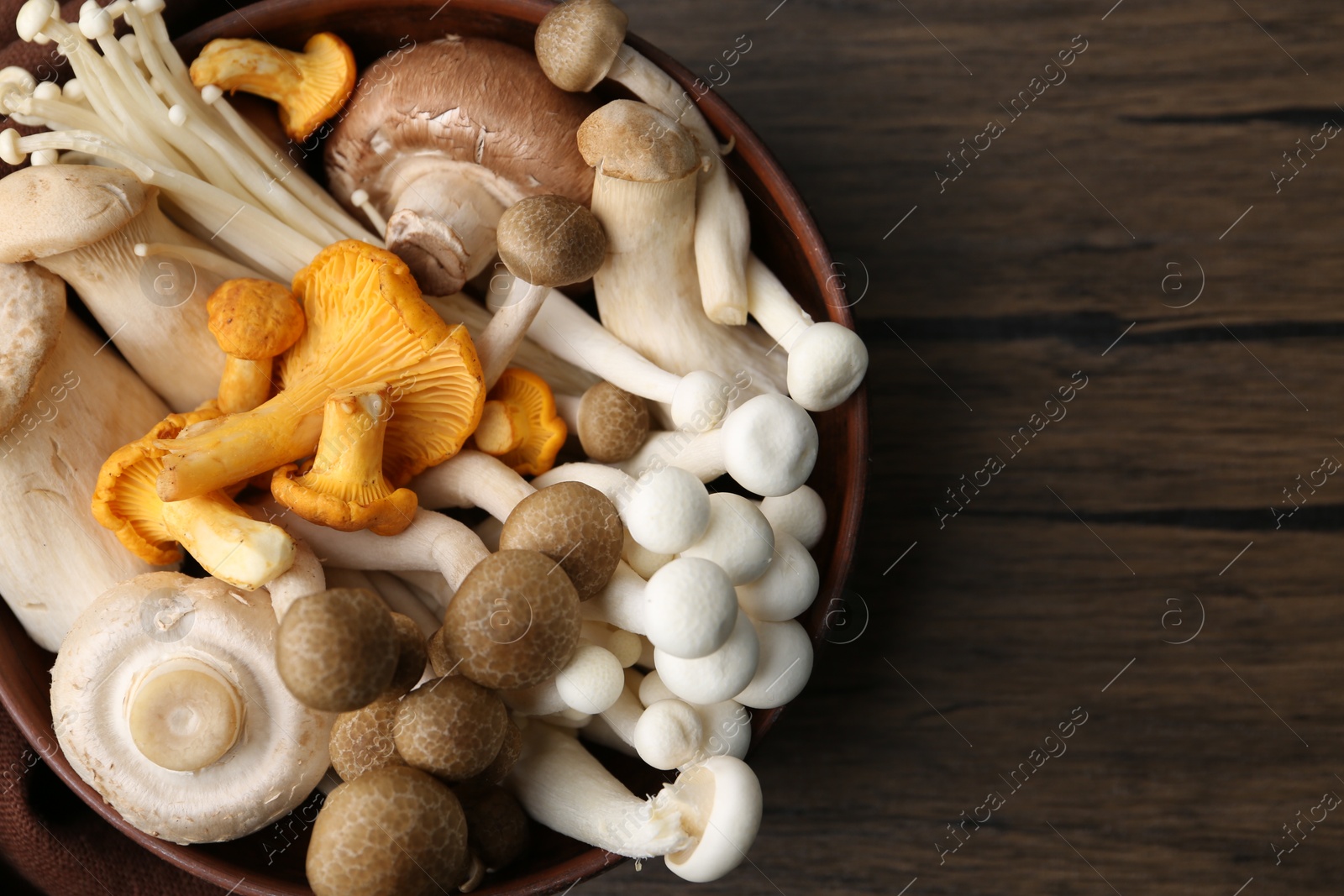 Different raw mushrooms in bowl on wooden table, top view. Space for text Photo of Different raw mushrooms in bowl on wooden table, top view. Space for text