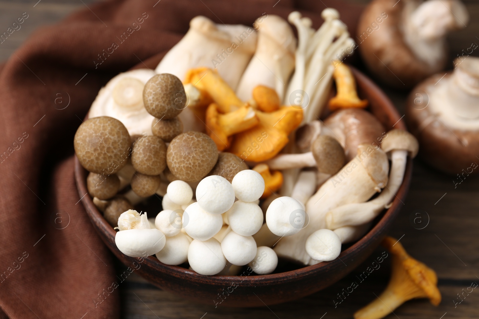 Different raw mushrooms in bowl on wooden table, closeup Photo of Different raw mushrooms in bowl on wooden table, closeup