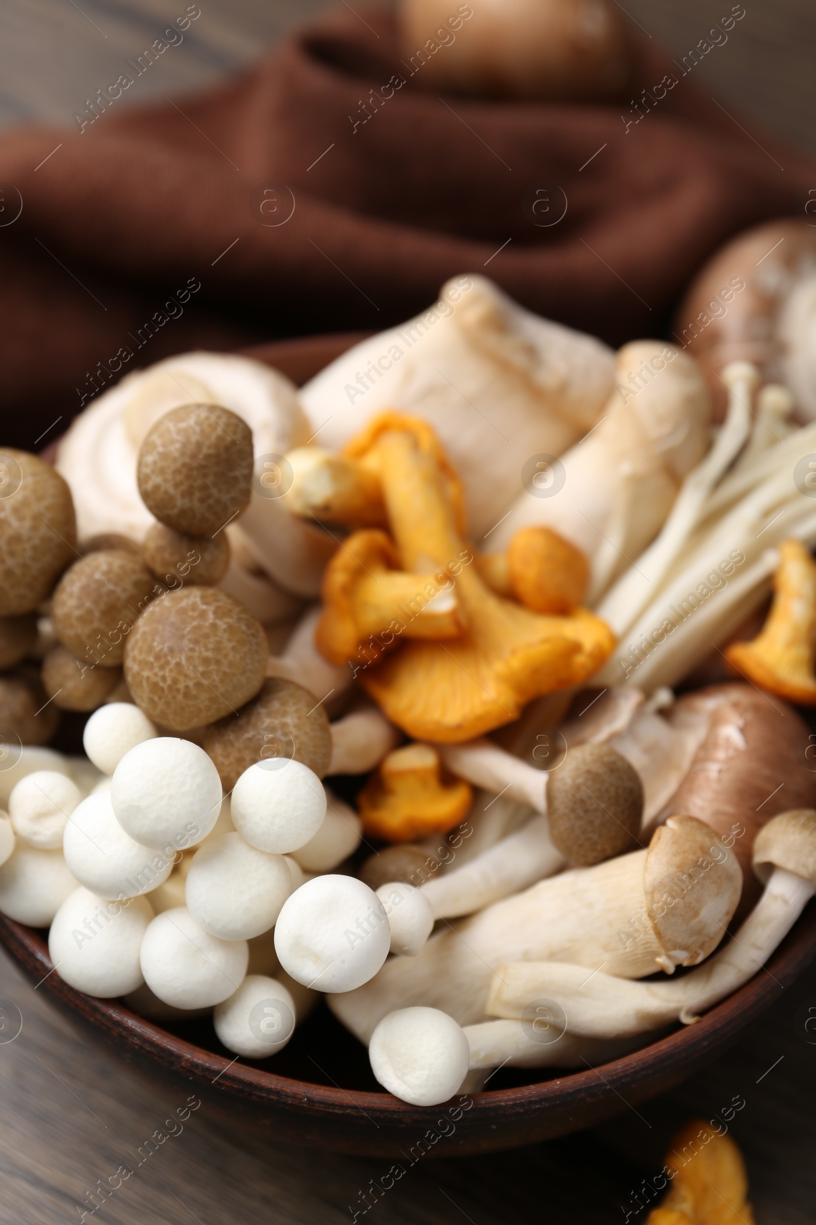 Different raw mushrooms in bowl on wooden table, closeup Photo of Different raw mushrooms in bowl on wooden table, closeup