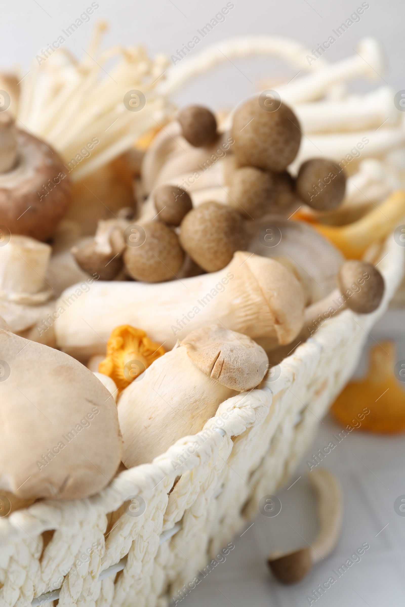Photo of Different raw mushrooms in wicker basket on white tiled table, closeup