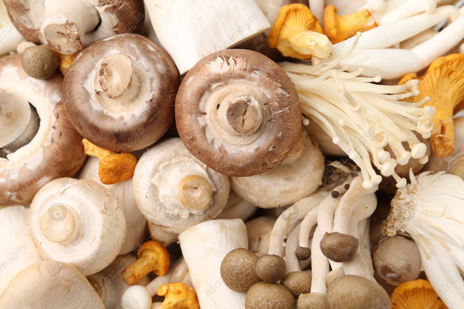 Photo of Different raw mushrooms as background, top view