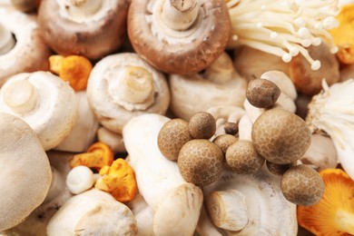 Photo of Different raw mushrooms as background, above view