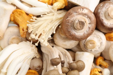 Photo of Different raw mushrooms as background, top view