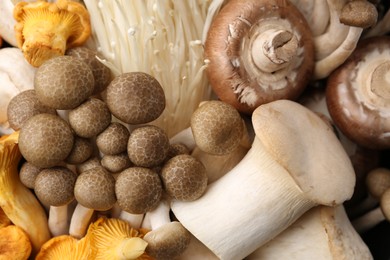 Photo of Different raw mushrooms as background, top view