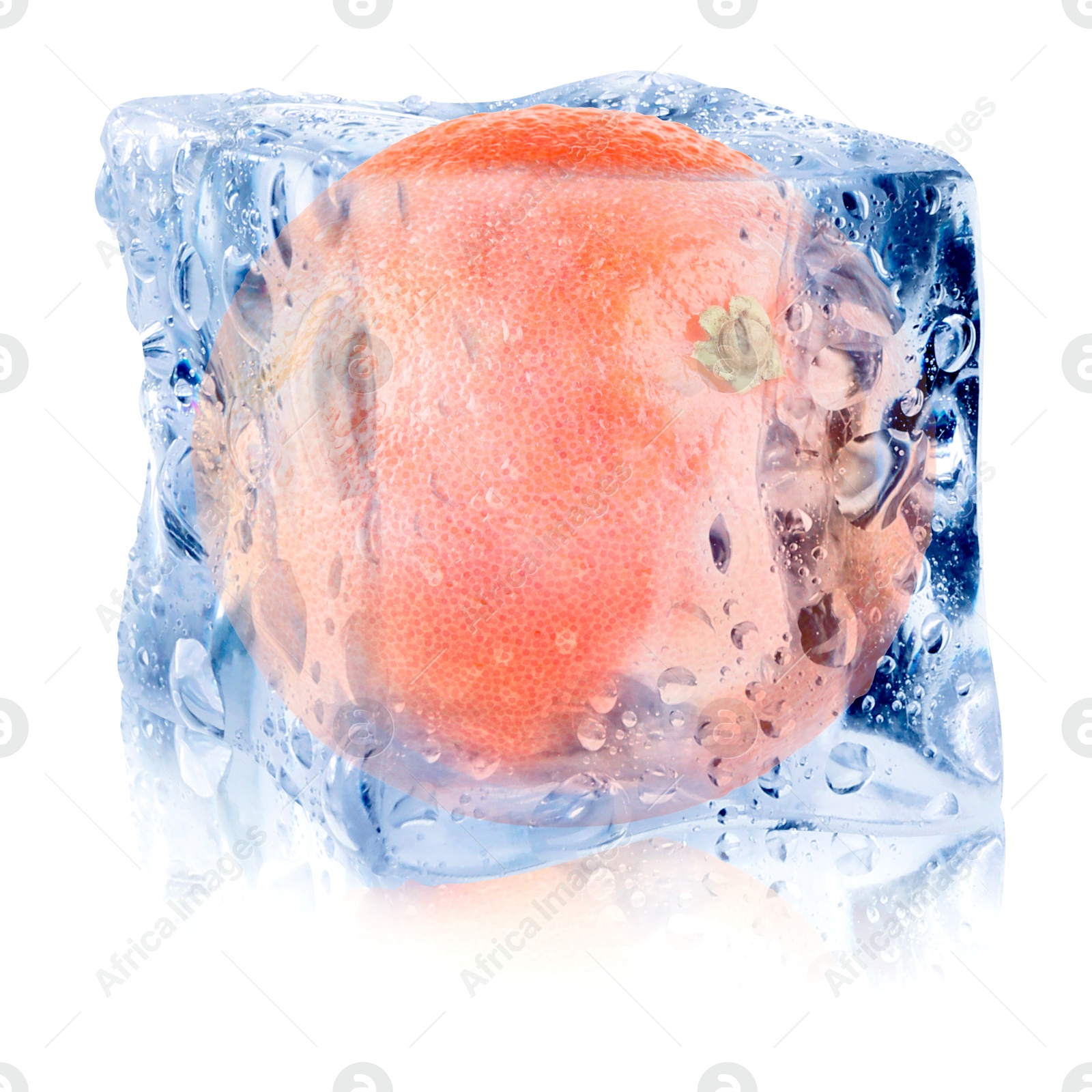 Fresh grapefruit inside ice cube on white background Image of Fresh grapefruit inside ice cube on white background