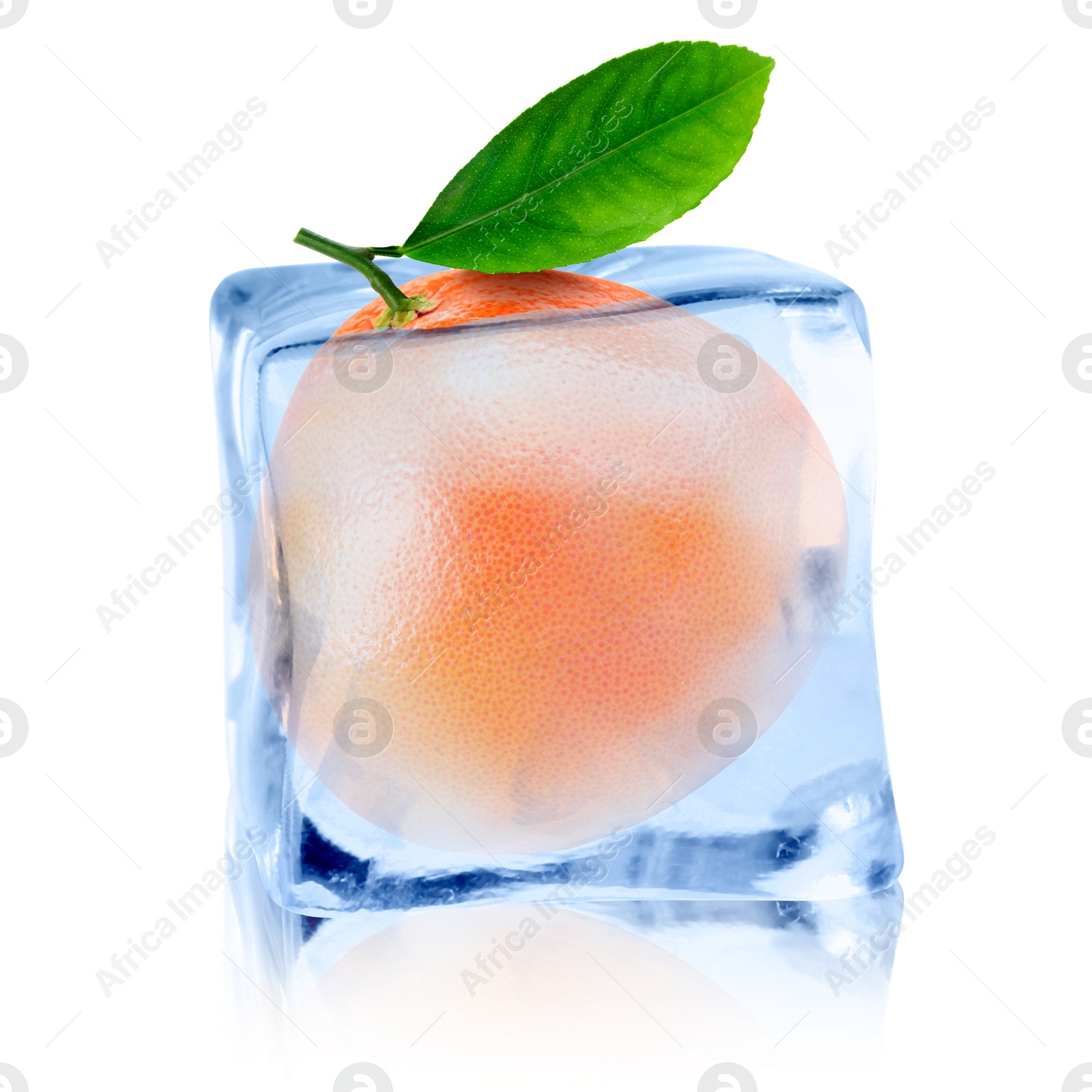 Fresh grapefruit inside ice cube on white background Image of Fresh grapefruit inside ice cube on white background