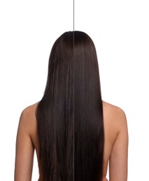 Image of Hair lamination, before and after. Photo of woman on white background, divided for comparison of hair condition